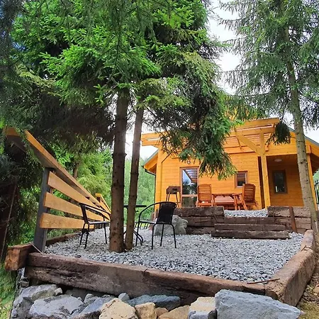 Górskie D1 Domek alpejski