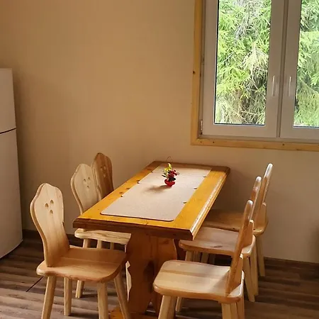 Dağ evi Gorskie D1 Zawoja